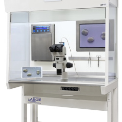 phoca_thumb_m_fbb_ivf_white_labox Fotogalerie