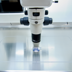 phoca_thumb_m_labox_heatingsurface_microscopeintegration Fotogalerie